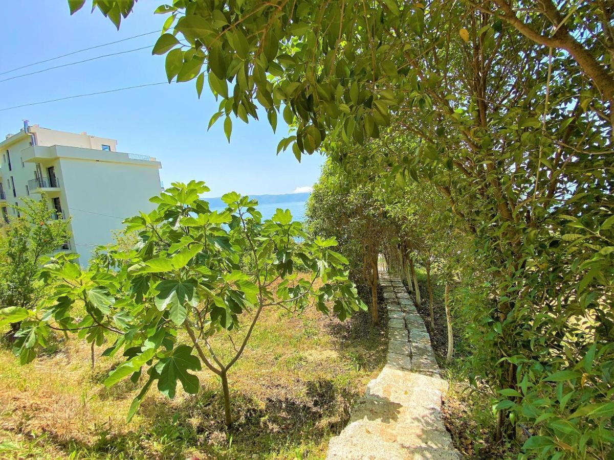 Ramo'S Green Beachside Retreat - Cozy 2 Bedroom Home Vlorë Eksteriør billede
