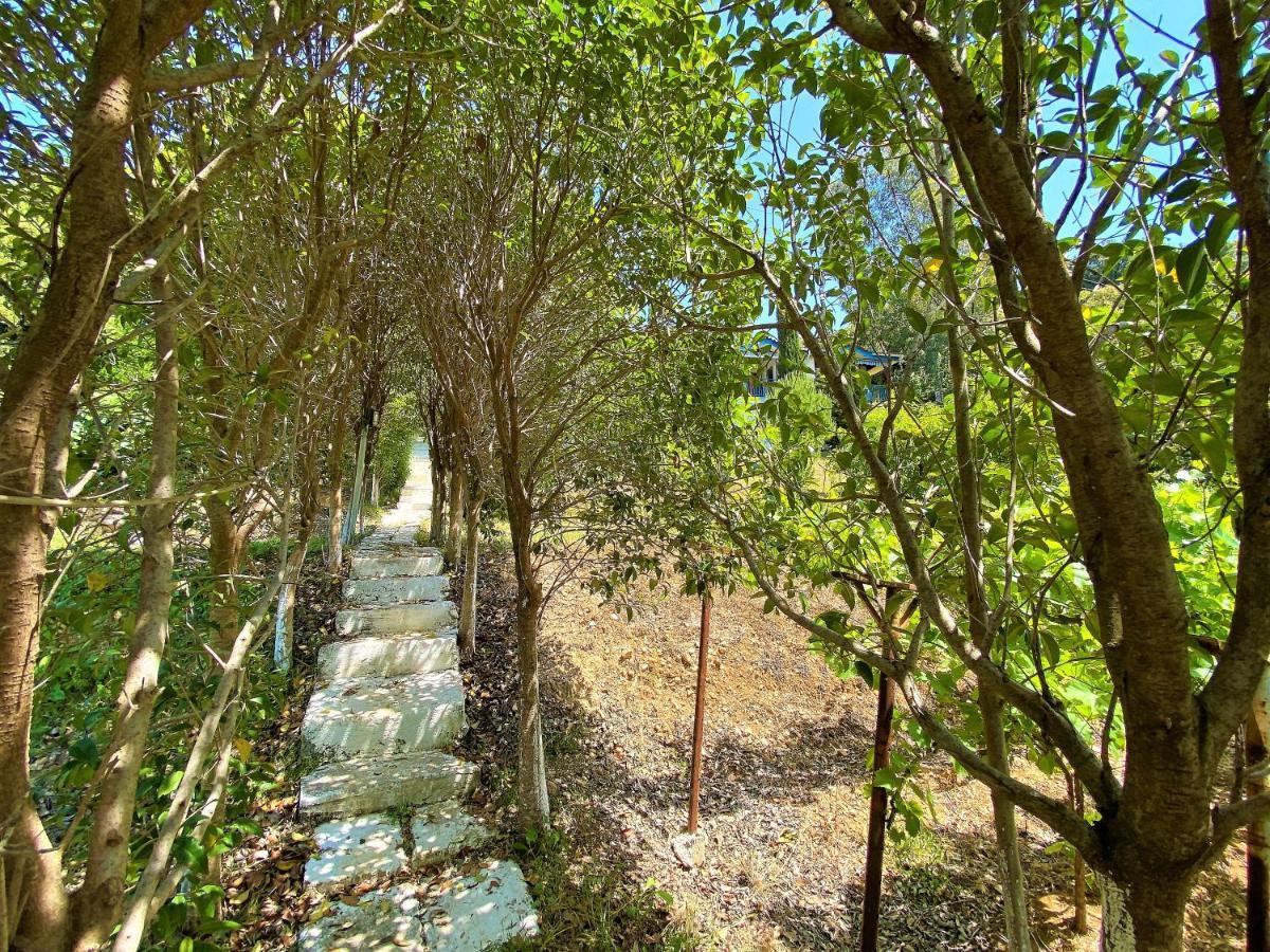 Ramo'S Green Beachside Retreat - Cozy 2 Bedroom Home Vlorë Eksteriør billede